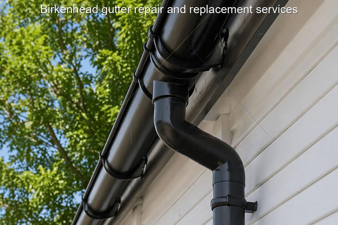 Birkenhead gutter repair and replacement services