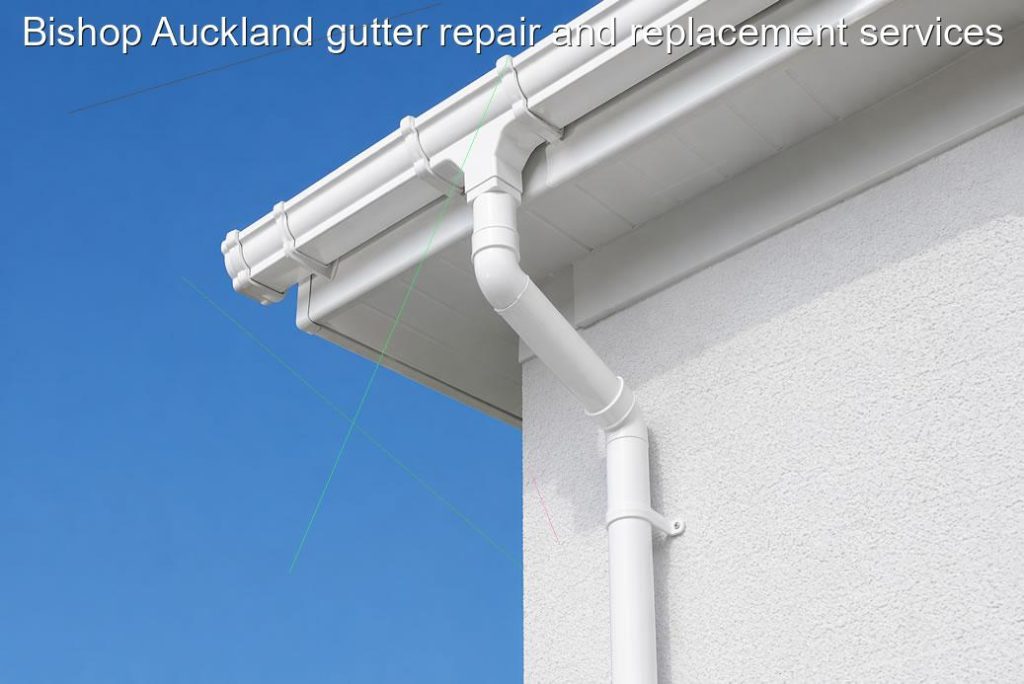 Bishop Auckland gutter repair and replacement services