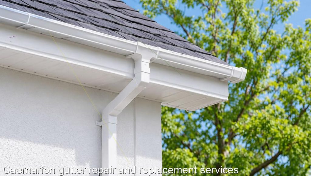 Caernarfon gutter repair and replacement services