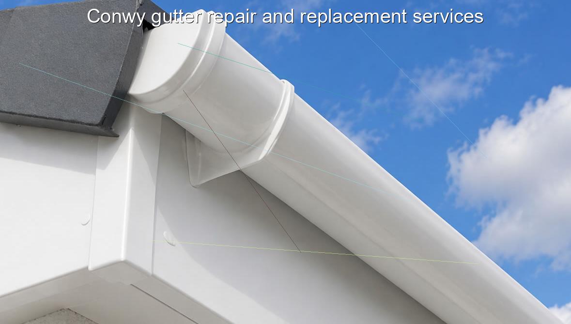 Conwy gutter repair and replacement services