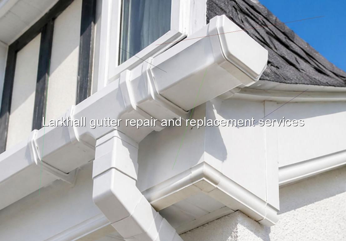 Larkhall gutter repair and replacement services