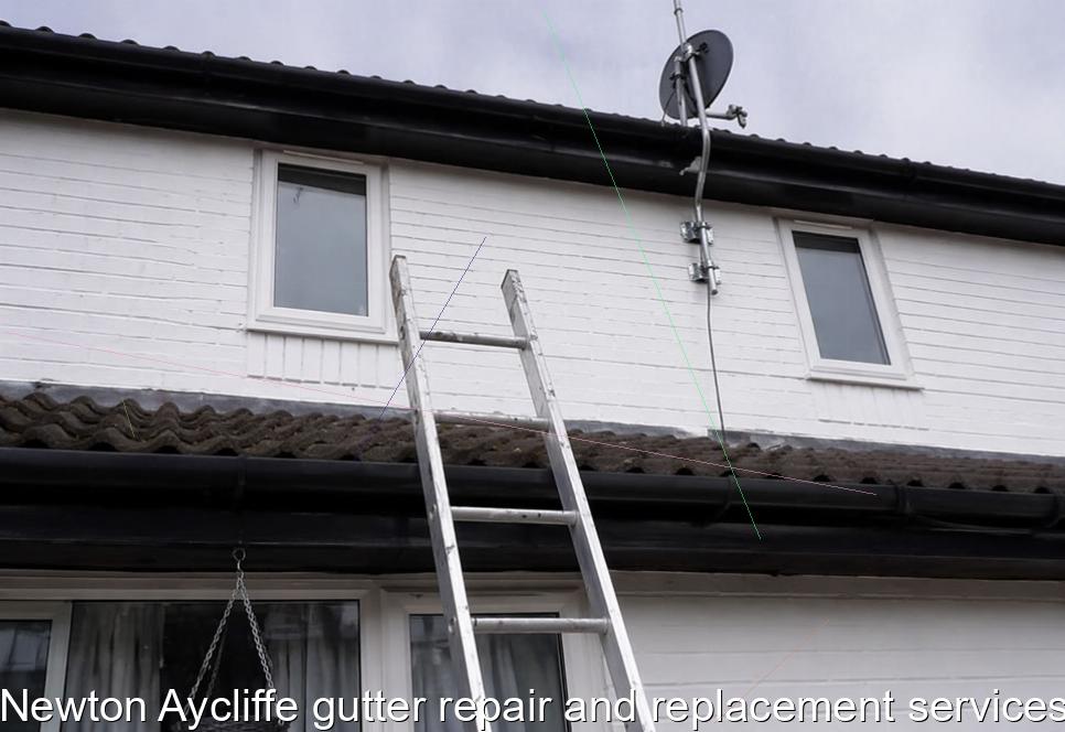 Newton Aycliffe gutter repair and replacement services