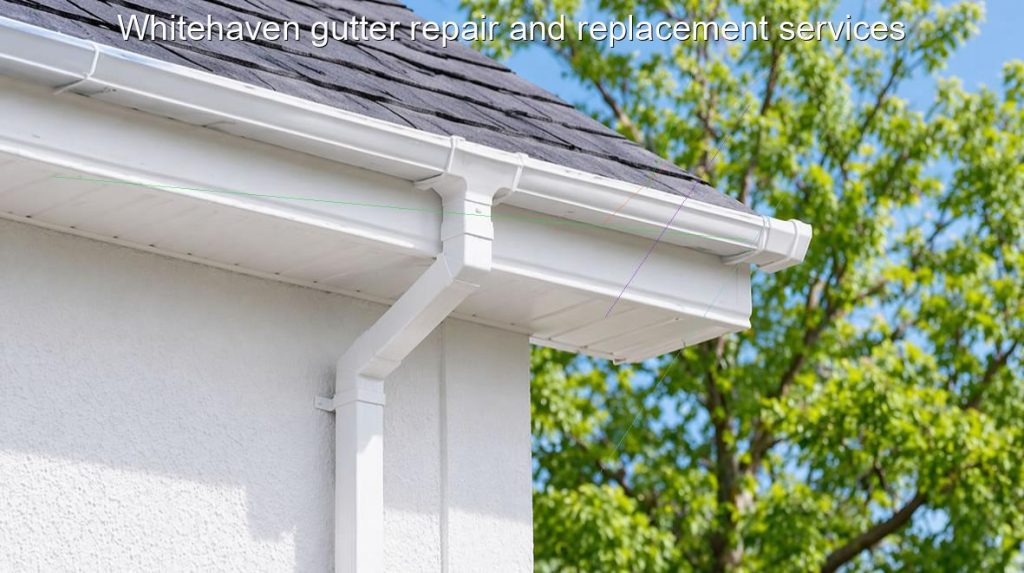 Whitehaven gutter repair and replacement services
