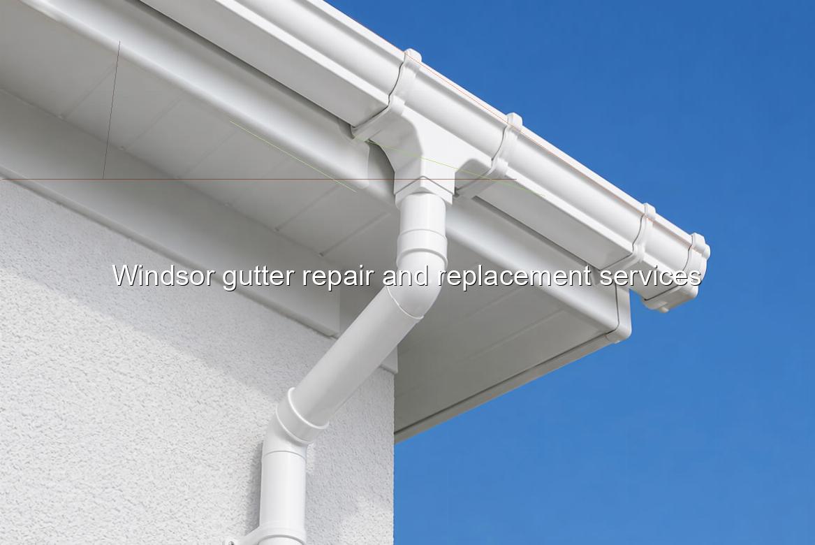 Windsor gutter repair and replacement services