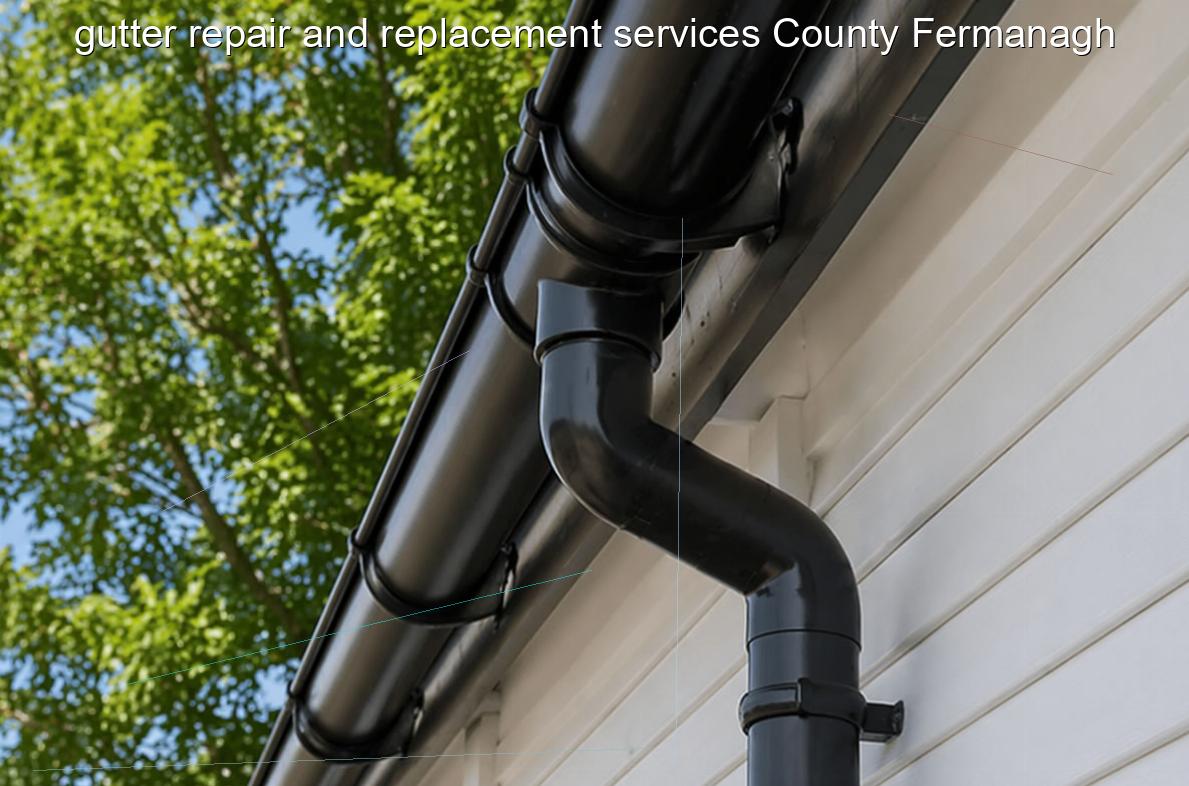 gutter repair and replacement services County Fermanagh