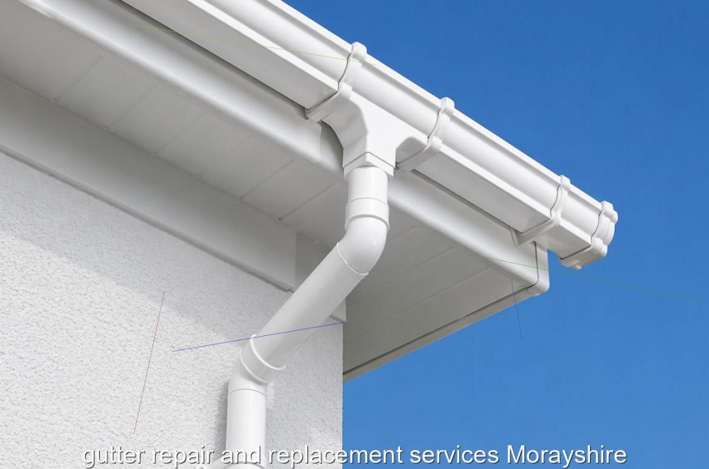 gutter repair and replacement services Morayshire