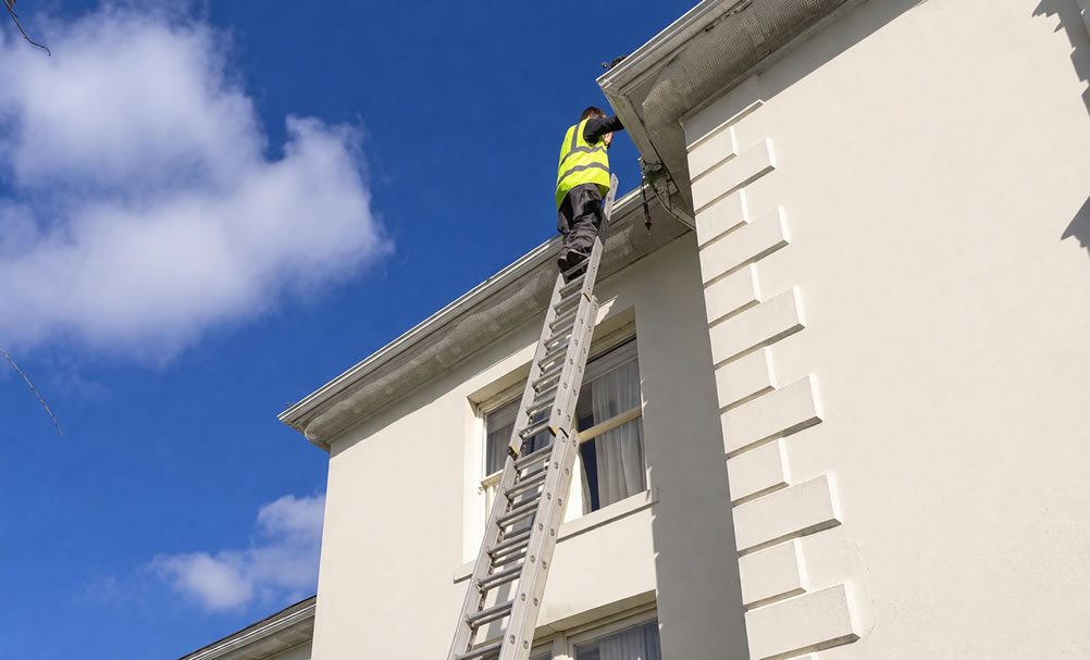 gutter services - tradesman on a ladder inspecting guttering
